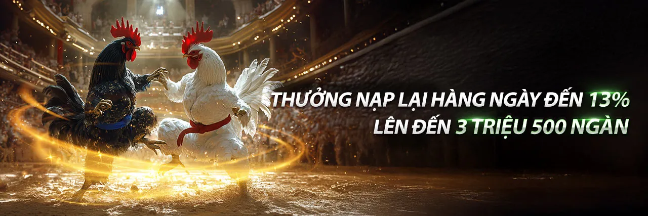 hi888 chính thức - Blog cá cược thể thao và sòng bạc trực tuyến